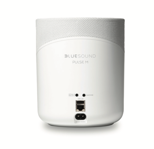 Bluesound PULSE M Omni-Hybrid - Speaker