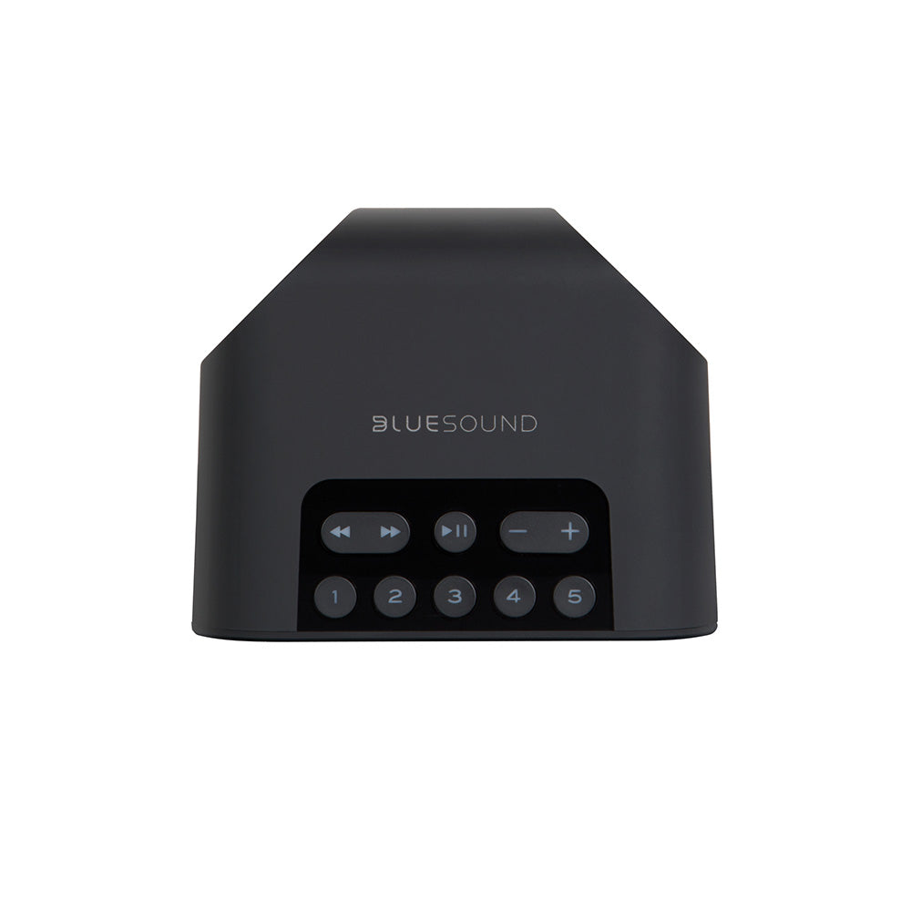 Bluesound Pulse Flex 2i - Speaker